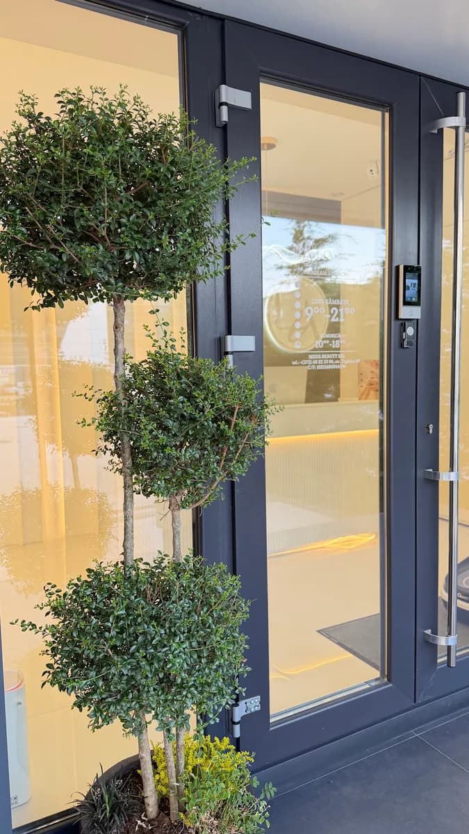 Lia Aesthetic Clinic
