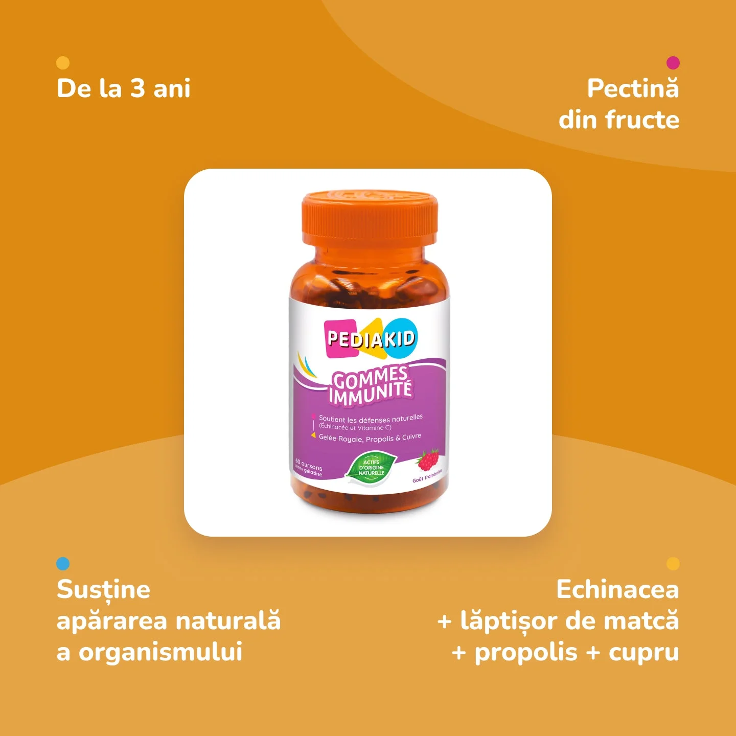 INELDEA PEDIAKID Immunite ursuleti gumati N60